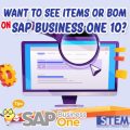 SAP Business One Indonesia Tips Want to See Items or BOM in 10