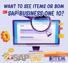 SAP Business One Indonesia Tips Want to See Items or BOM in 10