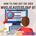 SAP Business One Indonesia Tips how to find out the user who is access sap