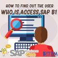 SAP Business One Indonesia Tips how to find out the user who is access sap