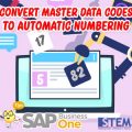 SAP Business One Tips Convert Master Data Codes To Automatic Numbering Series