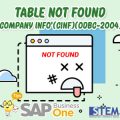 SAP Business One Tips Table Not Found