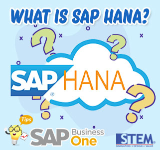 SAP Business One Tips What is SAP Hana