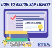 SAP Business One Tips How to Assign SAP License