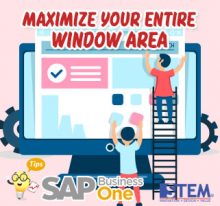 SAP Business One Tips Maximour Entitre Window Area