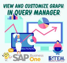 Melihat dan Kustomisasi Grafik Hasil pada Query Manager di SAP Business One