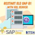 SAP Business One Tips Restart SLD with SQL Server