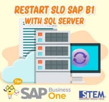 SAP Business One Tips Restart SLD with SQL Server