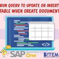 SAP Business One Tips Run Query to Update or Insert Table when Create Document