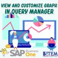 SAP Business One Tips View and Customize Graph in Query Manager