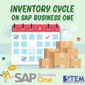 SAP Business One tips Inventory Cycle