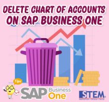 sap business one tips how to delete chars of accounts