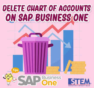 sap business one tips how to delete chars of accounts