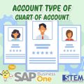 SAP Business One Tips Account Type of Chart of Account