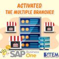 SAP Business One Tips Activated The Multiple Branches