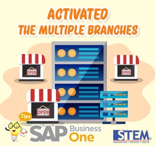SAP Business One Tips Activated The Multiple Branches
