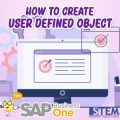 SAP Business One Tips How to Create User defined Object