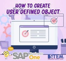 SAP Business One Tips How to Create User defined Object