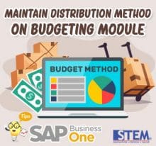 SAP Business One Tips Maintain Distribution Method on Budgeting