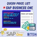 Query Price List pada SAP Business One