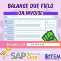 Field Balance Due pada Invoice