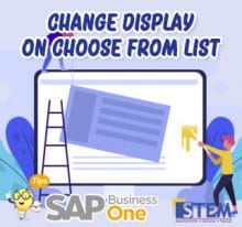 SAP Business One Tips Change Display on Choose From List