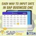 Cara Mudah Memasukkan Tanggal di SAP Business One