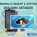 SAP Business One Tips Manually Backup Restore SAP Hana Database