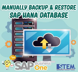 SAP Business One Tips Manually Backup Restore SAP Hana Database
