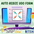 SAP Business One Tips Auto Resize UDO Form