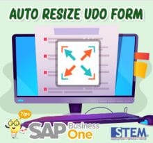 SAP Business One Tips Auto Resize UDO Form