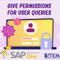 SAP Business One Tips Give Permissions For User Queries