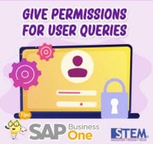 SAP Business One Tips Give Permissions For User Queries