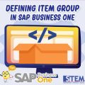 SAP Business One Defining Item Group