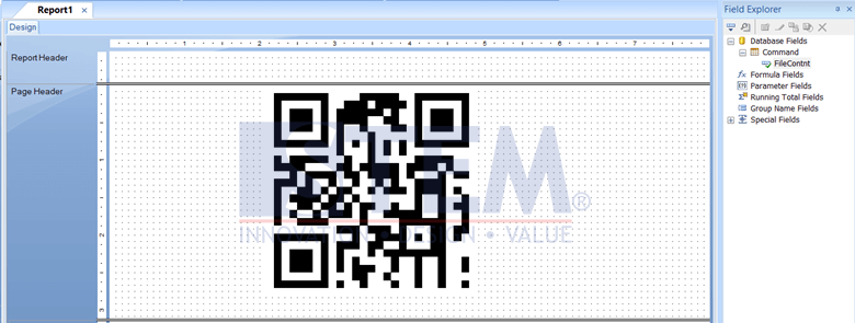 SAP Business One Tips - Display QR Code in Crystal Report