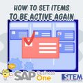 SAP Business One Tips How to set items to be active again