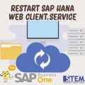 Restart SAP HANA Web Client Service
