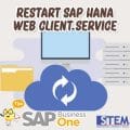 Image SAP Business One Tips Restart SAP Hana Web Client Services