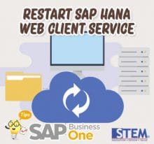 Image SAP Business One Tips Restart SAP Hana Web Client Services