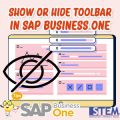 SAP Business One Tips Show or Hide Toolbar