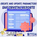 SAP Business One Tips Create Parameters Crystal Reports