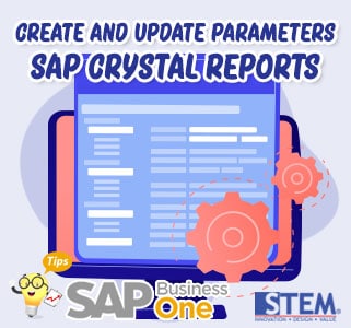 SAP Business One Tips Create Parameters Crystal Reports