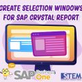 SAP Business One Tips Create Selection Criteria Windows