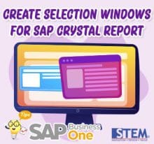 SAP Business One Tips Create Selection Criteria Windows