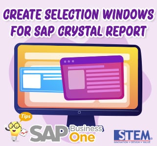 SAP Business One Tips Create Selection Criteria Windows