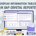 SAP Business One Tips Display Information Tables in SAP Crystal Reports