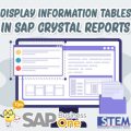 SAP Business One Tips Display Information Tables in SAP Crystal Reports