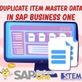 SAP Business One Tips Duplicate Item Master Data
