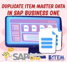 SAP Business One Tips Duplicate Item Master Data