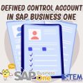 Menentukan Control Account SAP Business One – Panduan Praktis